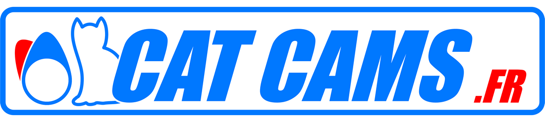 Cat Cams France